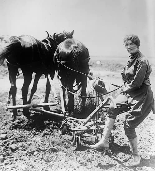 arado antiguo de caballos