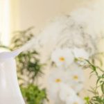 mejores humidificadores para plantas