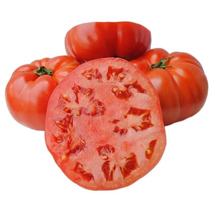 variedad tomate grande jack