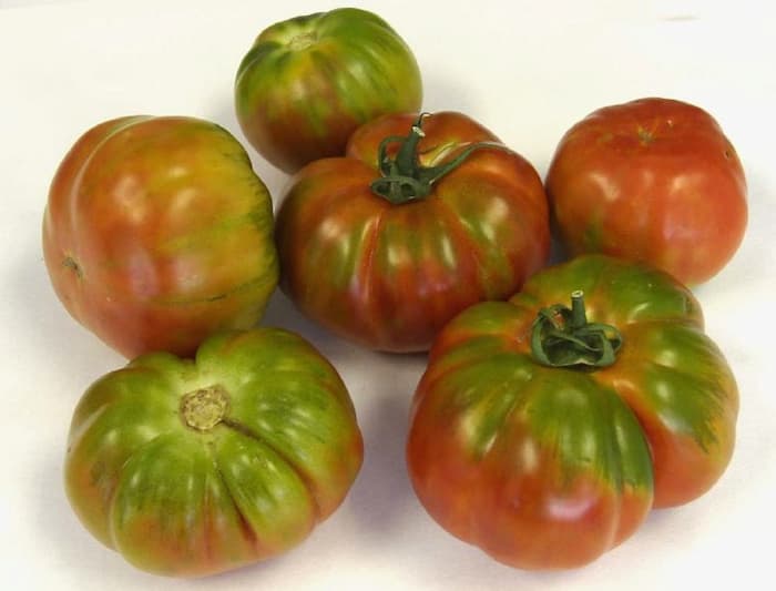 variedad tomate grande muchamiel